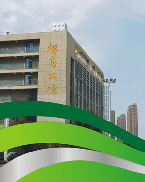 普通V帶系列